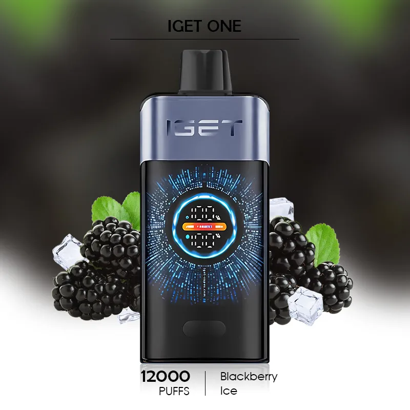 12,000 Puffs of Pleasure: IGET ONE 12000 Detailed Review